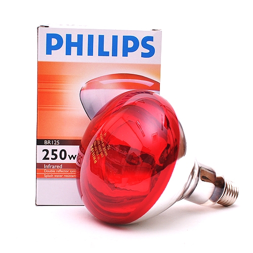 필립스 적외선램프 250W(BRI25 IR 250W 230-250V E27 ES RED)